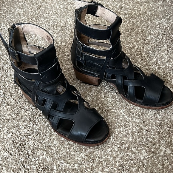 Freebird Gazelle 8 - Picture 2 of 11